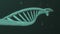 DNA Helix Evolution