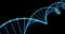 DNA helix, gene molecule and genetic chromosome cell, 3D spiral loop. Human DNA molecule blue light on black background