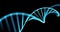 DNA helix, gene molecule spiral loop, 3D genetic chromosome cell. DNA molecule spiral of blue light on black background for