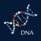 DNA helix from healthcare symbols flat icon