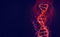 DNA helix. Hi Tech technology in the field of genetic engineering