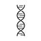Dna helix icon. Genetic black chromosome with biological gene and rna
