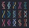 Dna helix icons. Gene spiral molecule structure, human genetic code, chromosome chain logo. Genetics science