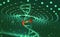 DNA helix. Innovative technologies in the study of the human genome
