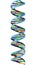 DNA helix isolated