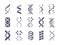Dna helix molecule silhouette set. Code genetic humans animals is molecular spiral diagram biochemical genome dna chains