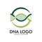 DNA helix scientific laboratory vector logo design