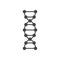 DNA helix symbol isolated on white background.