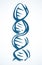 DNA icon sign. Vector drawing