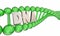 DNA Letters Word Strand Bio Medical Research