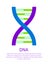 DNA Macromolecule Human Individual Genetic Code