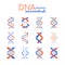 DNA macromolecule - line design style vector elements