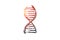 DNA, medicine, genetic, biology, science concept. Hand drawn isolated vector.