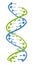 DNA molecular structure. Main carrier of genetic information in all organisms. The DNA shown here is part of a human gene and is