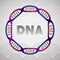 Dna molecule circular structure
