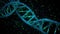 DNA molecule on a dark background. Biotechnology concept.