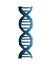 Dna molecule genetic structure icon