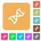 DNA molecule rounded square flat icons