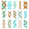 DNA molecule sign set, genetic elements and icons collection strand. Vector