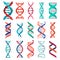 DNA molecule sign set, genetic elements and icons collection strand. Vector