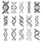 DNA molecule sign set, genetic elements and icons collection strand. Vector