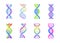 DNA molecule sign set, genetic elements and icons collection strand. Vector color gradient illustration.
