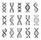 Dna molecule structure icons. Chromosome chain helix, genetic code logo. Biotechnology, medical science, gene strand