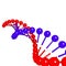 DNA molecule on white background Vector image