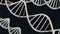 DNA molecules on black background 3d render