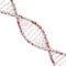 DNA molecules degradable chromosomes. abstract