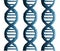 Dna molecules genetic structure icon