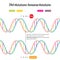 DNA mutations nonsense mutations diagram illustration