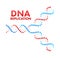 DNA replication. DNA molecules, molecular biology. Vector stock illustration.