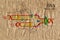 DNA replication schematics