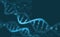 DNA research molecule. Analysis of structure human genome