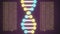 DNA spiral shape molecule decoding on lcd screen seamless loop animation background new quality beautiful natural health