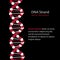 DNA Strand, genetic code