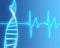 DNA Strand and Heart Rate