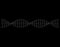 DNA strand. Isolated on black background. Vector outline illustration.