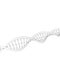 DNA strand. Isolated on white background.Sketch illustration.