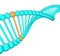 DNA Strand with One Unique Helix