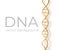 DNA strand scientific vector background.