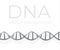 DNA strand scientific vector background.