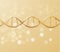 DNA strand structure vector background. Vector EPS10