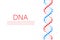 DNA strand symbol. DNA genetics. Vector illustration.