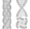 DNA String Futuristic Megalopolis Vector