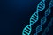 DNA structure, blue abstract background