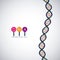 Dna structure chromosome design