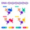 DNA structure, genome sequencing concept. Nanotechnology and biochemistry laboratory. Molecule helix of dna, genome or