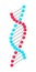 DNA structure isometric vector illustration